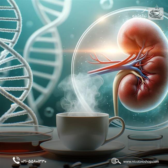 نقش قهوه و اسپرسو در سلامت و سبک زندگی