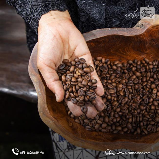 قهوه عربیکا