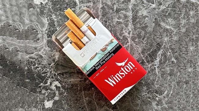 تاریخچه شرکت وینستون