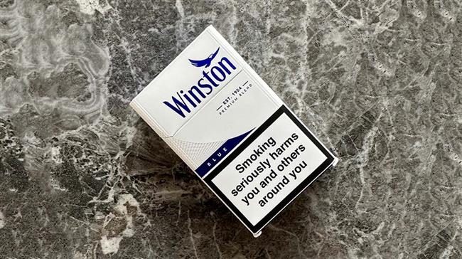 تأسیس و معرفی برند وینستون